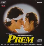 Pochette Prem