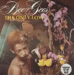 Pochette The Only Love