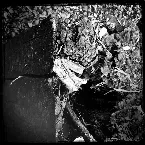 Pochette Streams of Consciousness