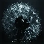 Pochette Years Lend a Golden Charm