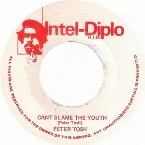 Pochette Can’t Blame the Youth / Hammer