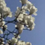 Pochette Spring String