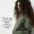 Pochette Team (Elephante remix)