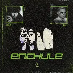 Pochette Enchule