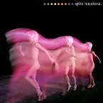 Pochette ハヤブサ