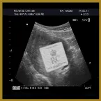 Pochette The Royal Baby Album