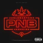 Pochette Party N Bullshit