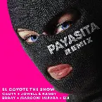 Pochette Payasita (remix)