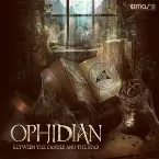 Pochette Between the Candle and the Star