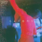 Pochette Gayboy
