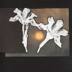 Pochette Loving You / Don't Let Me Go