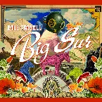 Pochette Big Sur