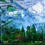 Pochette Rain Portal