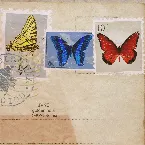 Pochette golden hour (DEKKO Remix)