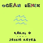 Pochette Ocean (remix)