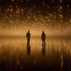 Pochette Story of a Bird