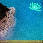 Pochette Somebody Special (Remixes)