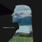 Pochette The Portal