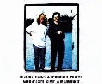 Pochette You Can't Sink A Rainbow