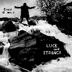 Pochette Luck and Strange (edit)