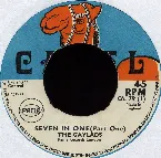 Pochette Seven in One