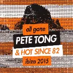 Pochette All Gone: Ibiza 2015