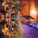 Pochette Snappish Saurel