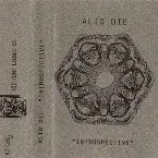 Pochette Introspective