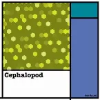 Pochette Cephalopod