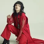 Pochette 人として