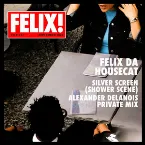 Pochette Silver Screen (Shower Scene) (Alexander Delanois Private mix)