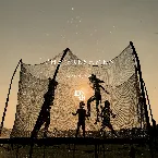 Pochette The Freshmen