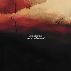 Pochette Nocturnal Discord