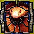 Pochette John Zorn's Cobra: Live at the Knitting Factory