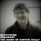Pochette The Saint of Smiths Gully