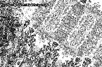 Pochette Obscure Secrets Beyond the Dark Side of the Cosmic Temple