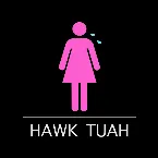 Pochette Hawk Tuah