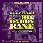Pochette The Best of Big Daddy Kane