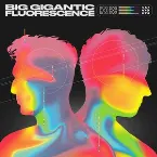 Pochette Fluorescence