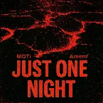 Pochette Just One Night