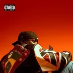 Pochette Papillon Monarque