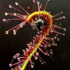 Pochette Quantum Dynamics 1 | Created in Silence