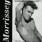 Pochette Hairdresser on Fire