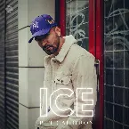 Pochette ICE