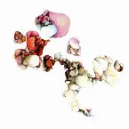 Pochette At All Ends