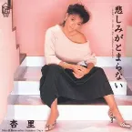 Pochette 悲しみがとまらない