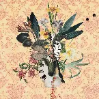 Pochette Wildflowers Vol. 3