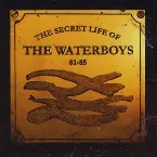 Pochette The Secret Life of the Waterboys: 81‐85