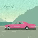 Pochette Enjoyment