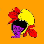 Pochette Passionfruit